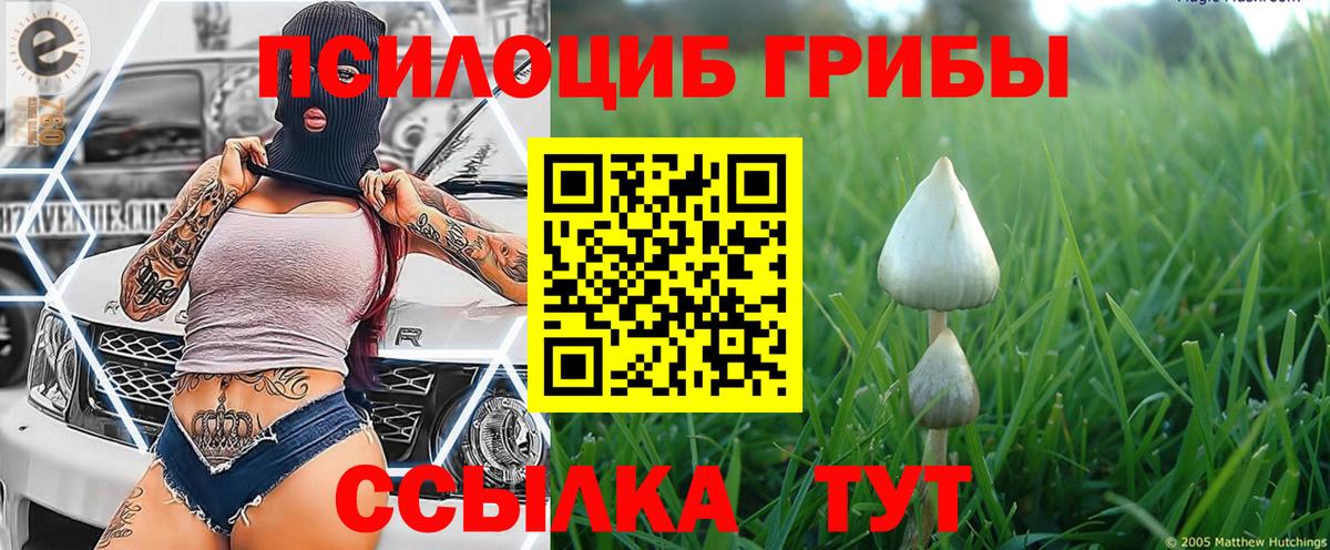 Меф МЯУ МЯУ  МДМА  Кетамин  Вейп ТГК  Вход с VPN  COCAIN  Мыски  МЕФ кристаллы  Марихуана  Купить наркотики  ГАШ 