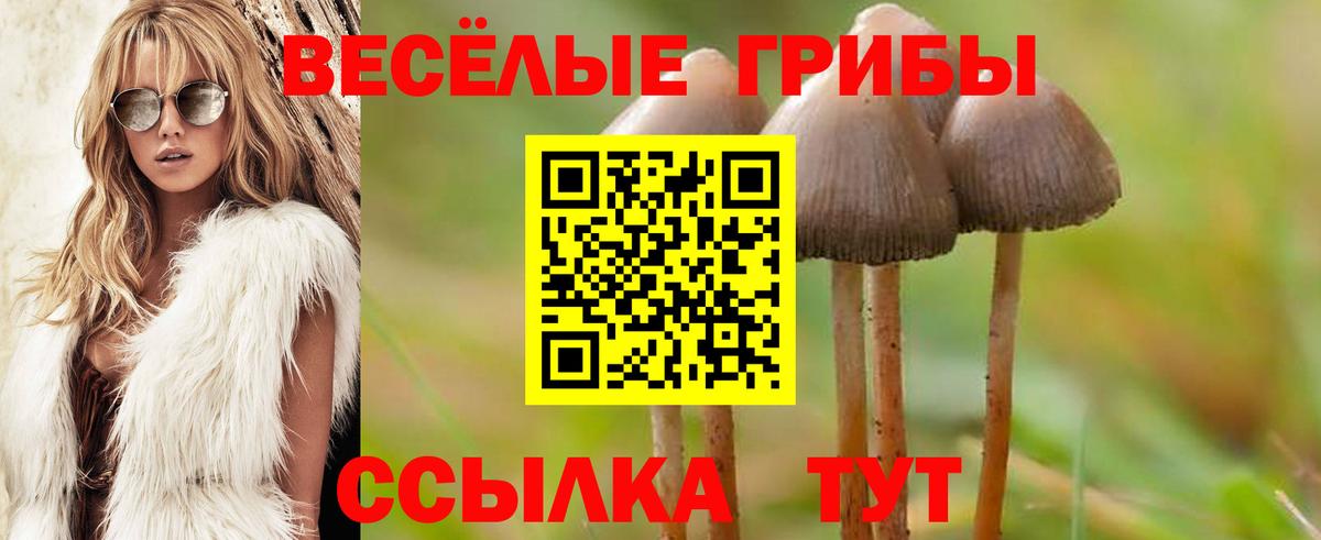 Мыски  цены   Галлюциногенные грибы мухоморы  Вход с VPN  Псилоцибиновые грибы Magic Shrooms 